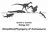 Stuart S. Sumida Biology 342. (Simplified)Phylogeny of Archosauria