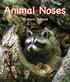 Animal Noses. by Mary Holland