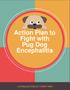 Action Plan to Fight with Pug Dog Encephalitis