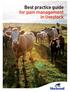 Best practice guide for pain management in livestock