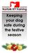 Keeping your dog safe during the festive season