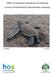 Effect of temporal flooding on the hatching success of leatherbacks (Dermochelys coriacea).