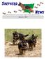N Official Publication of the German Shepherd Dog League of NSW Inc