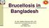Brucellosis in Bangladesh. Dr. Md. Habibur Rahman SSO, LRI Department of Livestock Services (DLS) Bangladesh March 2014