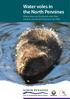 Water voles in the North Pennines. Where they can be found, what they need to survive and how you can help.
