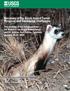 Recovery of the Black-footed Ferret: Progress and Continuing Challenges