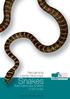 SNAKES. Recognising Deadly Venomous. from Harmless Snakes of Sri Lanka