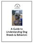 A Guide to Understanding Dog Breeds & Behaviors