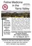 Feline Medicine in the Yarra Valley