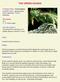 THE GREEN IGUANA. Common Name: Green Iguana. Scientific Name: Iguana iguana. Order: Squamata. Family: Iguanidae.