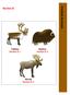 Hoofed Animals. Section E. Muskox Section E-2. Caribou Section E-1. Moose Section E-3