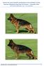 Lecture by Louis Donald, presented to the members of the German Shepherd Dog Club of Victoria Australia 2012 Ref: Breed Standard No