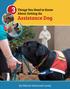 Things You Need to Know About Getting An. Assistance Dog. By Marcie Davis and Lovey
