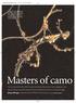 Masters of camo u. WLSEPTSTICKINSECTS-SH9 7/23/04 5:21 PM Page 38