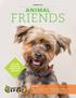 FRIENDS ANIMAL TIPS FOR BRINGING HOME YOUR NEW PET INSIDE. FOSTER HIGHLIGHT Fospice: Providing Comfort During Last Days