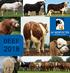 Ai SERVICES NORTHERN IRELAND BEEF CATALOGUE