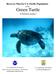 Green Turtle. Recovery Plan for U.S. Pacific Populations of the. (Chelonia mydas) U.S. Department of Commerce. U.S. Department of the Interior