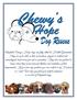 Adoptable Chewy s Hope dogs are fully vetted & Health Guaranteed. They are up to date on their vaccinations, spayed or neutered and microchipped,