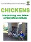 Chickens - Hatching an Idea at Grovetown School