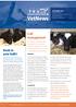 VetNews. Calf management
