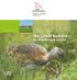 Species and Biotope Conservation. The Great Bustard the Brandenburg Ostrich