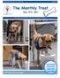 May 9th, D4D Dog-in-Training, Toga TWO ISSUES FOR MAY!! MAY 9TH MAY 30TH. The Latest and Greatest with the D4D Dogs-in-Training