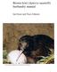 Brown kiwi (Apteryx mantelli) husbandry manual