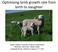 Optimising lamb growth rate from birth to slaughter