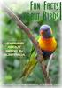 ABOUT BIRDS. learning about birds in Australia. By David & Debbie Hibbert & Robert Tate