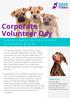 Corporate Volunteer Day