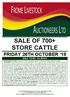 SALE OF 700+ STORE CATTLE