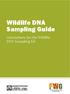 Wildlife DNA Sampling Guide. Instructions for the Wildlife DNA Sampling Kit