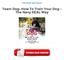 Team Dog: How To Train Your Dog - The Navy SEAL Way PDF