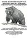 SELKIRK MOUNTAINS GRIZZLY BEAR RECOVERY AREA 2017 RESEARCH AND MONITORING PROGRESS REPORT