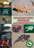 Guide to Starting with Reptiles & Amphibians