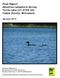 Final Report Sensitive Lakeshore Survey Turtle Lake ( ) Itasca County, Minnesota