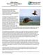 Wild Turkey Annual Report September 2017