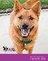 TOBY, ARL ALUM ANIMAL RESCUE LEAGUE OF IOWA, INC Impact Report CHANGING LIVES