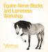 Equine Nerve Blocks and Lameness Workshop