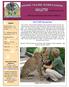 The Future Protectors of the World s Wild Cats FCF Convention. FOR KIDS and YOUTH. Sections: Feline Conservation Federation News and Events...