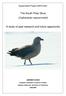 The South Polar Skua (Catharacta maccormicki) A study of past research and future opportunity