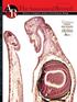AR The Anatomical Record Advances in Integrative Anatomy and Evolutionary Biology