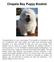 Chapala Bay Puppy Booklet