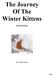 The Journey Of The Winter Kittens