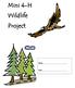 Mini 4-H Wildlife Project