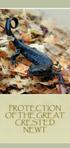 PROTECTION OF THE GREAT CRESTED NEWT