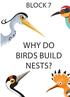 BLOCK 7 WHY DO BIRDS BUILD NESTS?