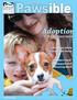 All Things. Spring Adoption. Is The Happiest Option. Adopters Share Stories from Home. Maddie s Fund Supports Our Lifesaving Work.