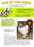 Proud owners, top animals and striking breed products Part 1 Merelbeke (Belgium) by Dirk de Jong