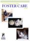 FOSTER CARE. The Everything Cat & Kitten. Guide